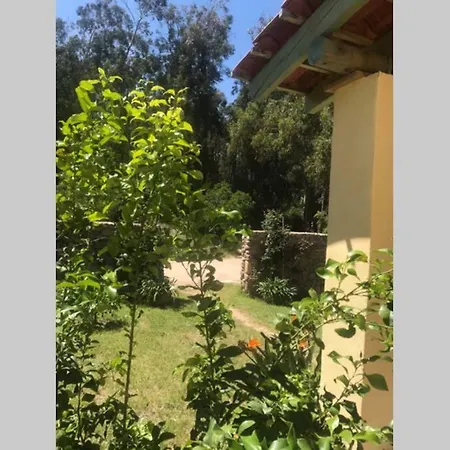 Apsara 6 Jours Mini * Calenzana